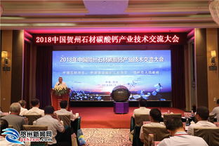 贺州大步迈进“点石成金”新时代 技术交流驱动产业升级