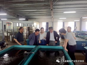 日韩专家访问江苏省淡水水产研究所扬中基地，共促水产技术交流与合作