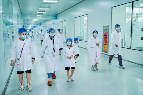 晶澳科技成功举办“携手童行，碳索绿色未来”技术交流研讨会